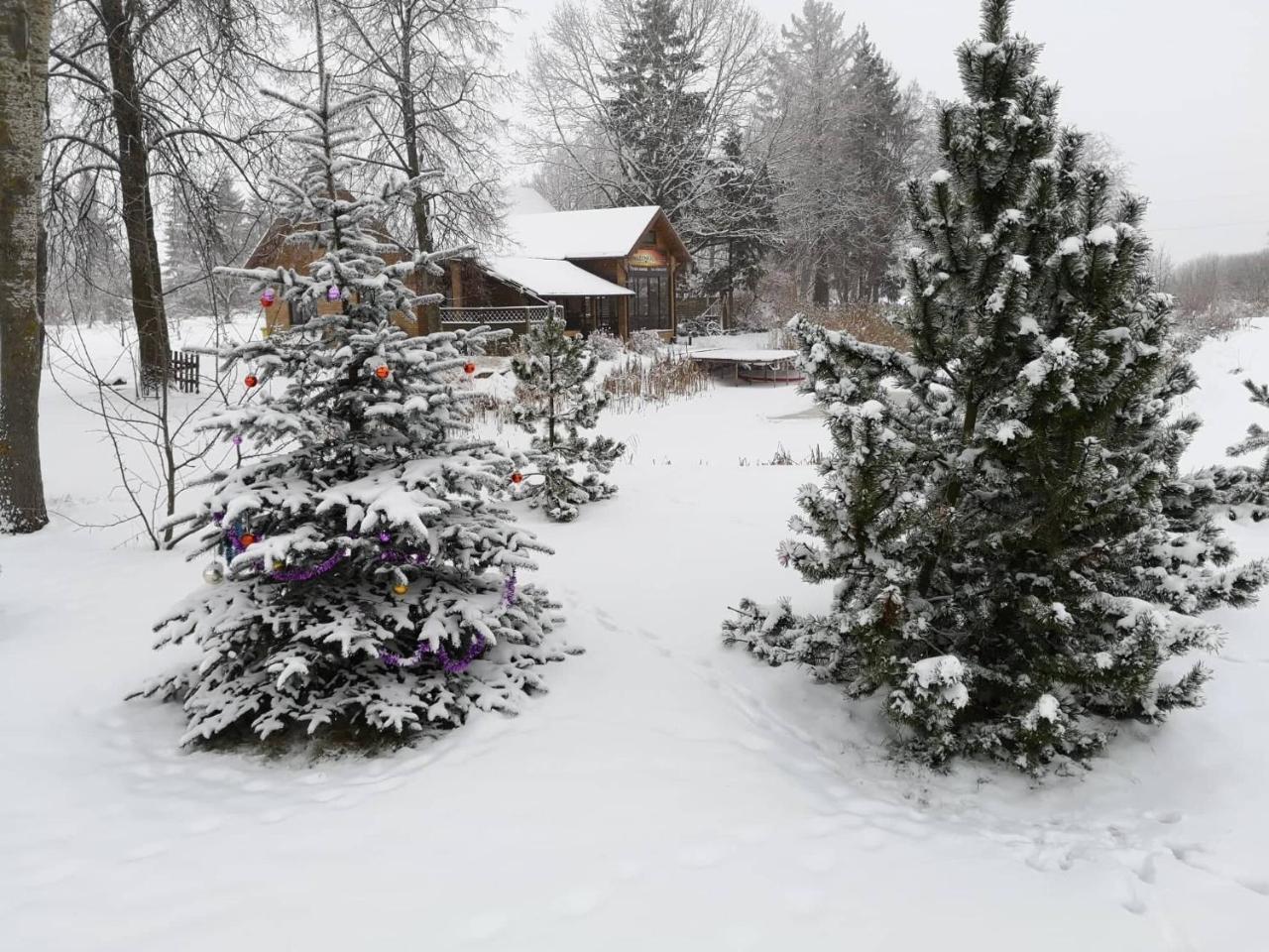 Gasthaus Raudonkalnis Mankiskiai Exterior foto